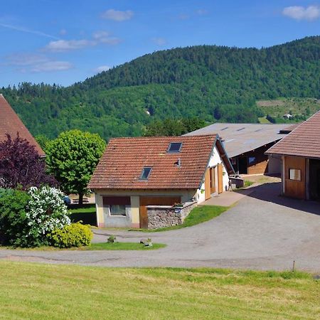 Hebergement Francois Mathieu Saint-Maurice-sur-Moselle Eksteriør bilde