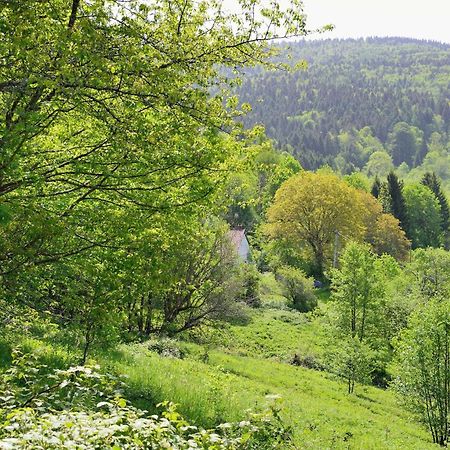 Hebergement Francois Mathieu Saint-Maurice-sur-Moselle Eksteriør bilde