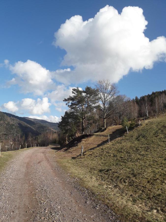 Hebergement Francois Mathieu Saint-Maurice-sur-Moselle Eksteriør bilde