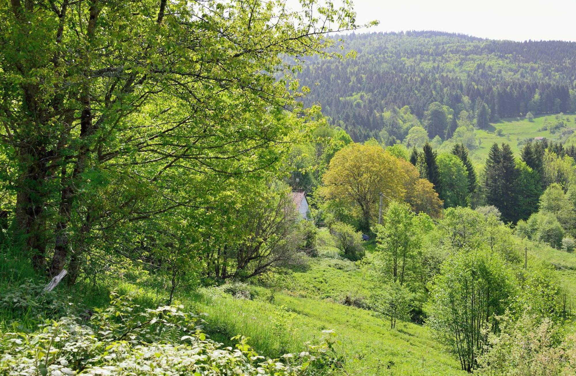 Hebergement Francois Mathieu Saint-Maurice-sur-Moselle Eksteriør bilde